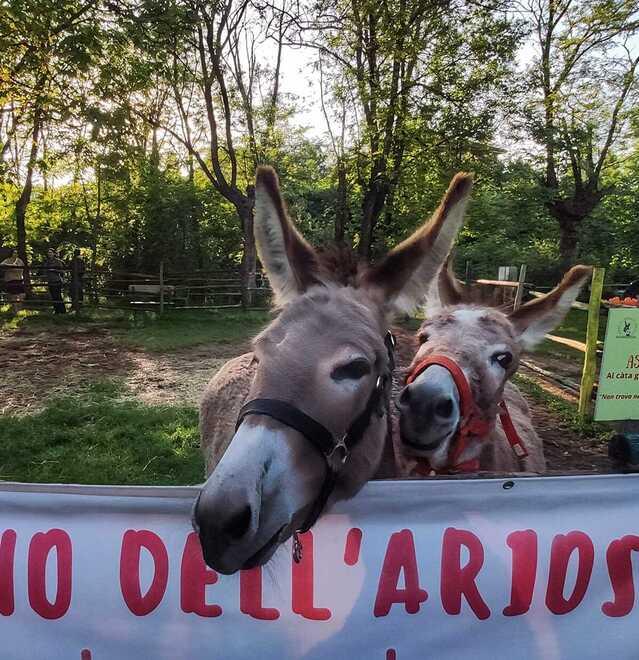 L’asineria di San Maurizio accoglie Orazio e Clarabella dalla Romagna