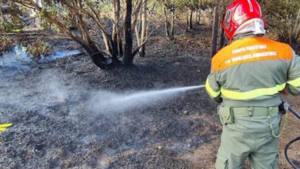 Non basteranno i volontari: l’antincendio è azzoppato