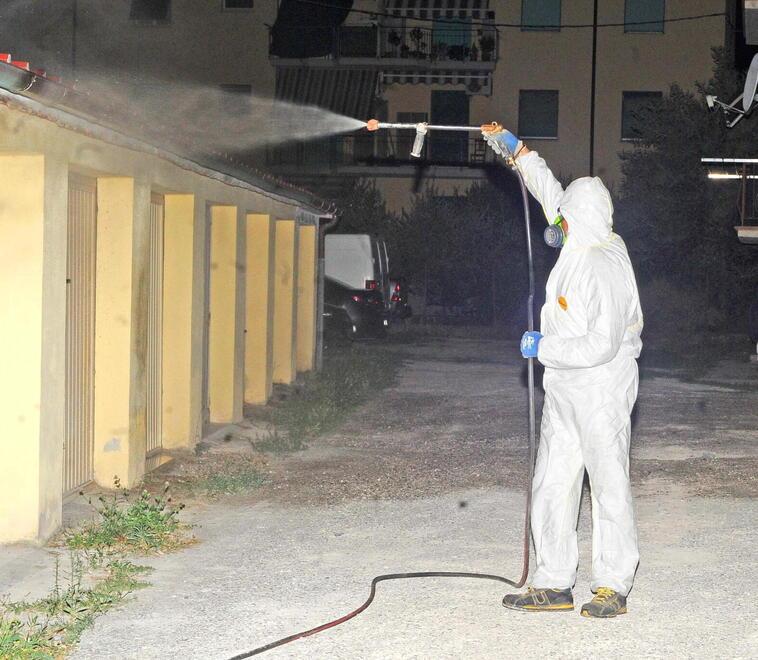 «Ecco la zanzara tigre, anche i cittadini facciano la loro parte»