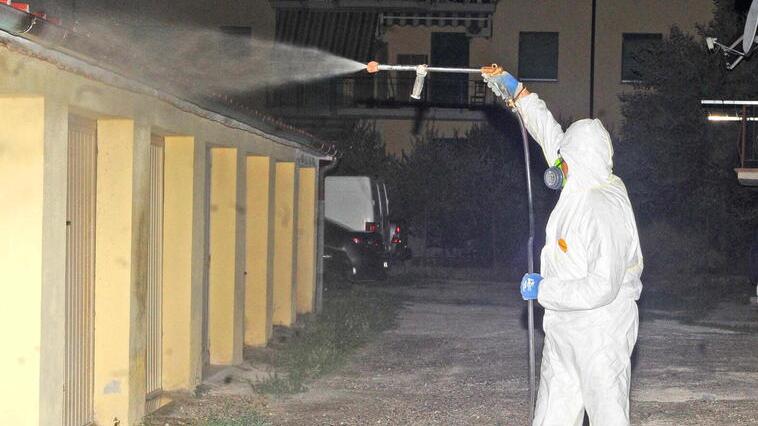 «Ecco la zanzara tigre, anche i cittadini facciano la loro parte»