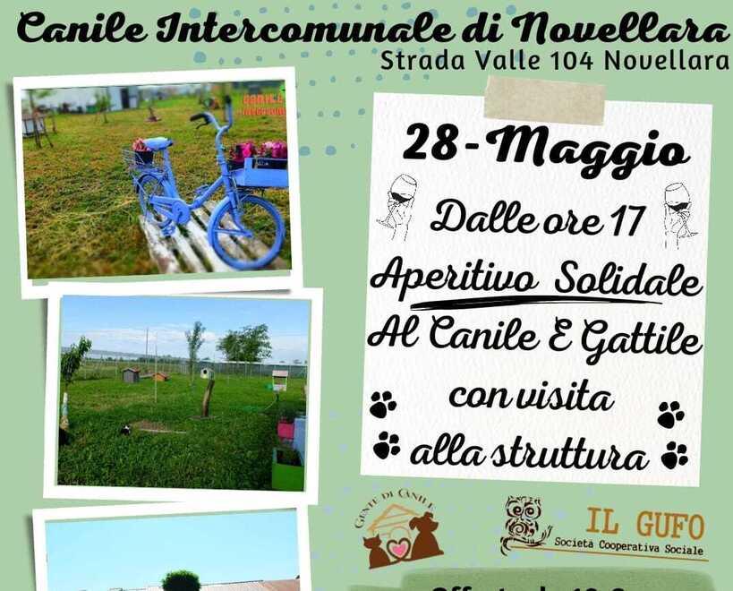 Aperitivo solidale al canile per far conoscere gli ospiti