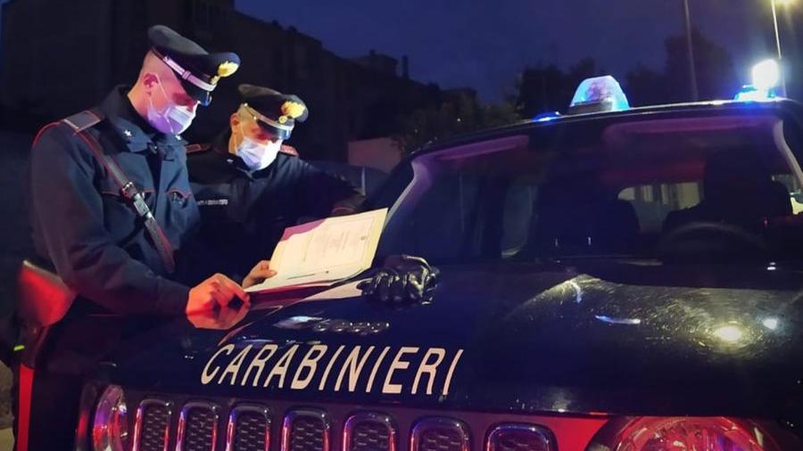 Cagliari, ruba un tosaerbe da un campo agricolo: arrestato