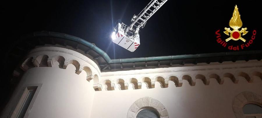 Castel Boccale, i vigili del fuoco salvano un pavone