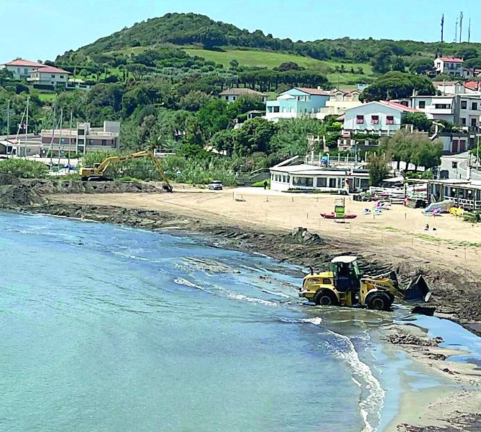 Posidonia spostata sugli scogli, bagnanti di Salivoli già preoccupati