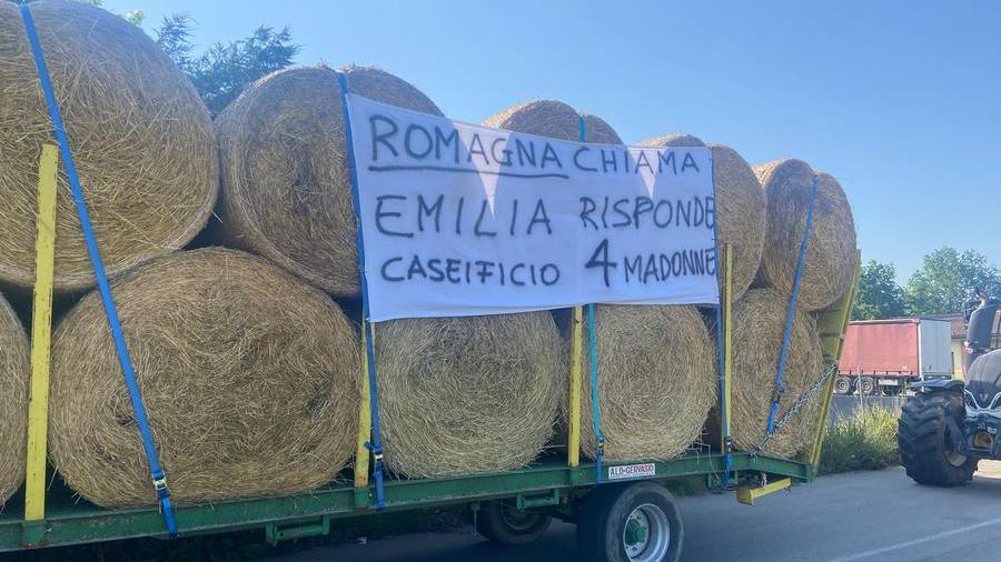 Centinaia di rotoballe in viaggio per gli allevamenti romagnoli