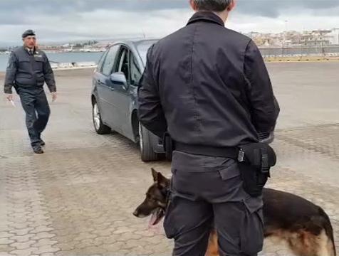 All’imbarco con la famiglia da Livorno trasportava 11 chili di droga: arrestato