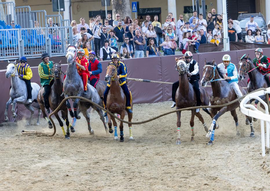Ferrara. Ecco il primo Palio in notturna: solo oggi tutti i cavalli in gara. E il nuovo mossiere controlla la pista