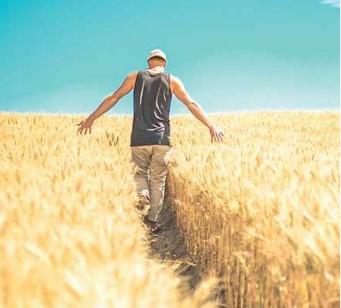 Un agricoltore nel campo