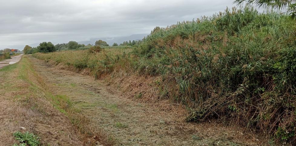 Viareggio, c’è una collina di rifiuti da bonificare: una gara per fare i campionamenti