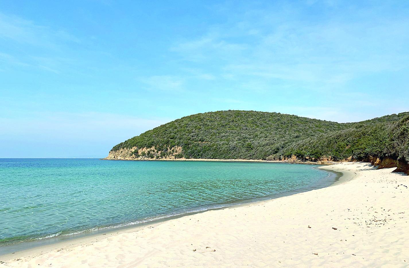 La spiaggia di Cala Violina a numero chiuso: come funziona l’accesso controllato