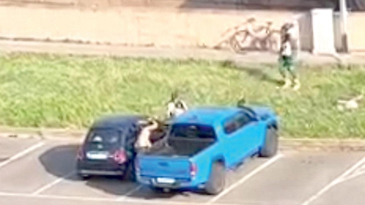 Allarme sicurezza tra le Cascine e il maggio, i genitori dei bimbi del coro: «Esasperati, scriviamo al sindaco»