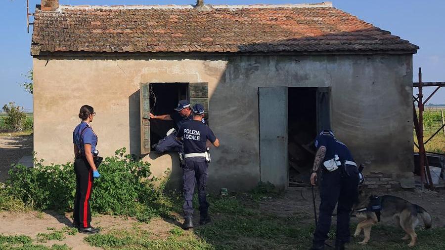 Mesola. In casa aveva hashish e cocaina: arrestato