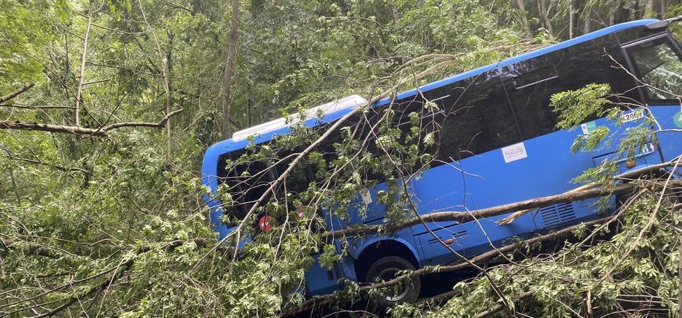 Bus con gli studenti giù nel burrone: le ipotesi sulle cause dell’incidente. I testimoni: «Come in un film horror» – Video