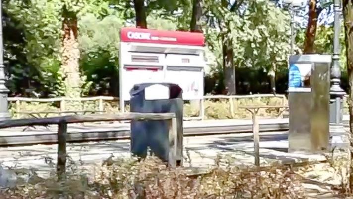 Firenze, rubano l’iPhone al 14enne in tram: «Dentro c’era un’app salvavita»