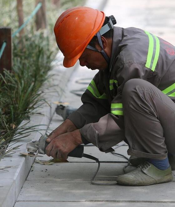 Emilia Romagna. Gli ingressi nel lavoro, e la scarsità di personale