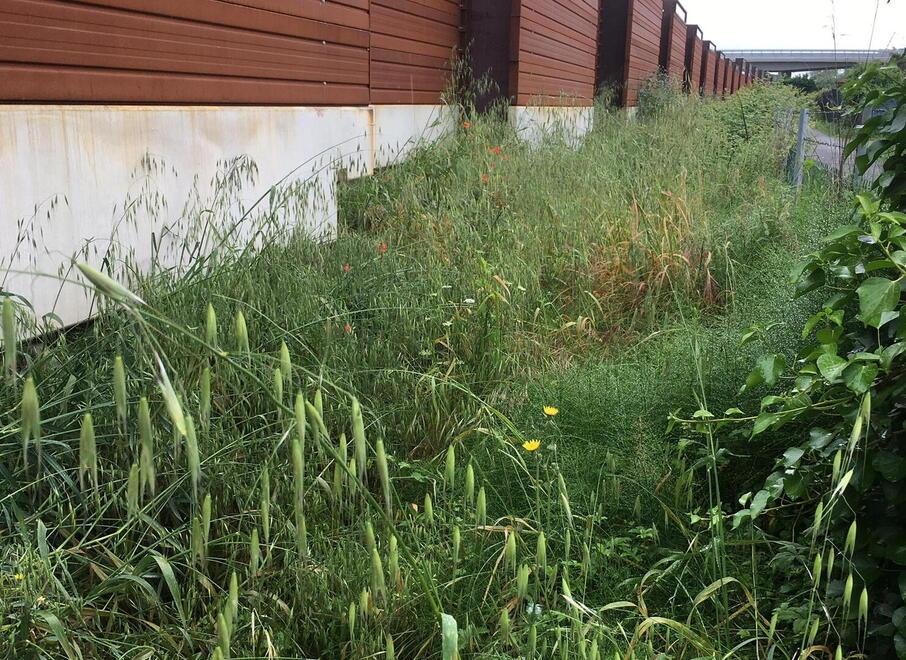 Carrara, allarme sicurezza idraulica: «Perché i lavori in ritardo?»