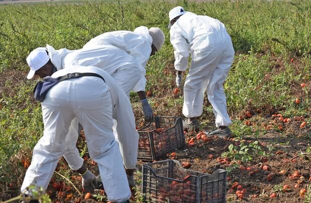 Un lavoratore su tre è in nero: «Odioso, penalizza i più deboli» 