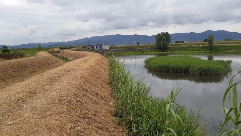 Pistoia, al via gli sfalci sugli argini ma aumenta la bolletta