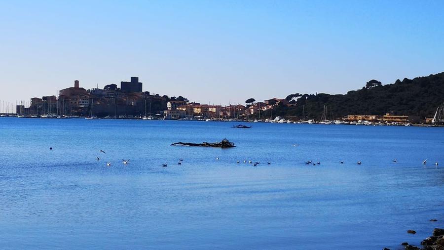 Il Faro di Talamone: «Dalla pizza al dolce, tutto rigorosamente “fatto in casa”»