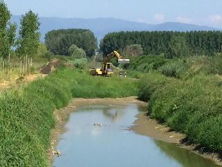 Lavori di sfalcio del Consorzio per ripulire un canale (foto Nucci)