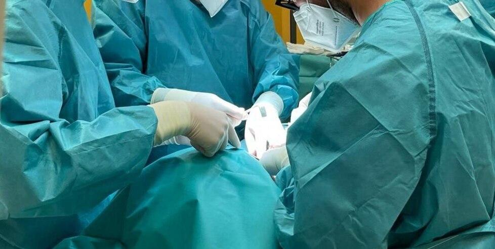 Sassari: cade da cavallo, viene operato ma perde l’uso di una mano 