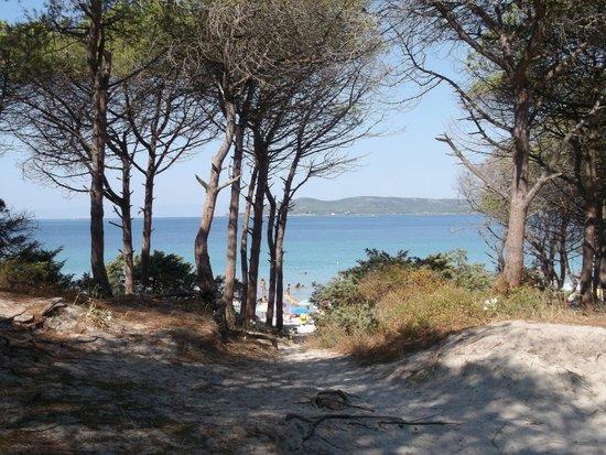 Alghero, a Maria Pia scatta il piano “salva dune”: sarà vietata anche la sosta temporanea 