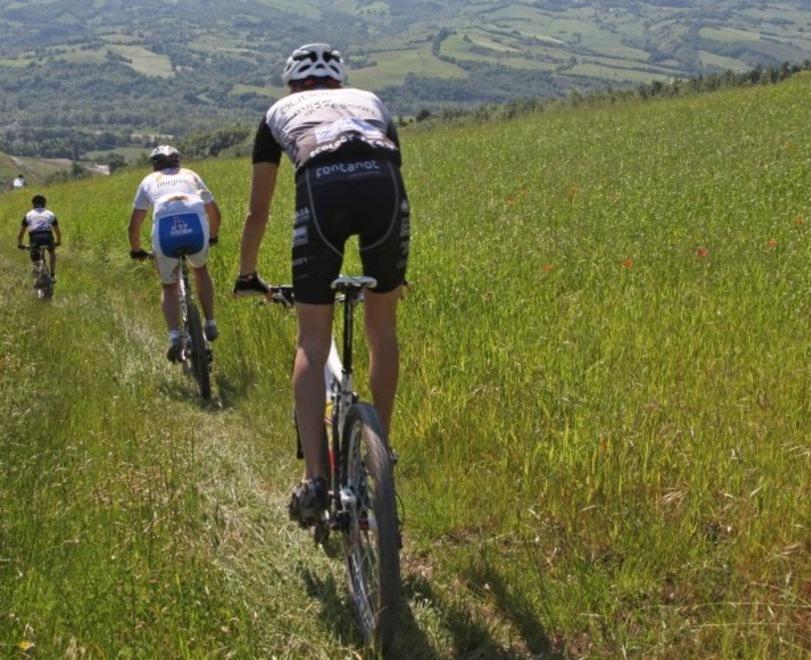 Reggio Emilia&nbsp; si conferma al top per gli amanti delle bici 
