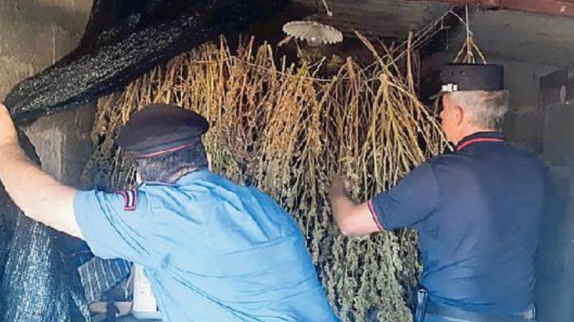 L’intervento dei carabinieri nel pollaio dell’azienda di Braccagni