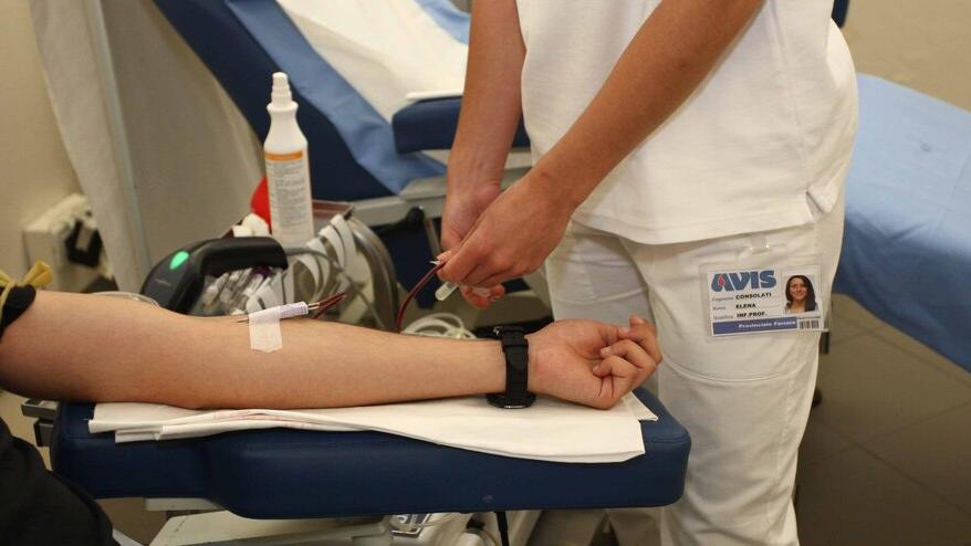 Piombino, di sangue c’è sempre bisogno: l’Avis alla prova dell’estate per aumentare le donazioni