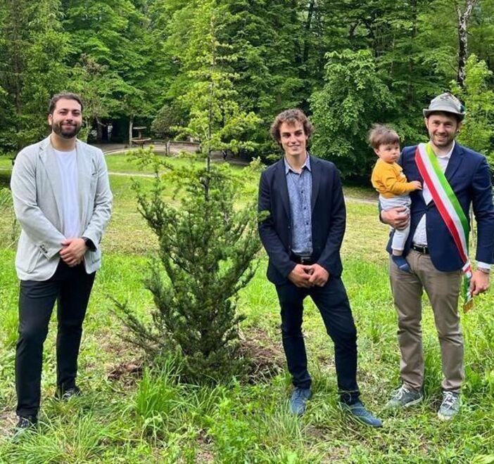 Pavullo. Un “Pinone junior” per il Parco Ducale 
