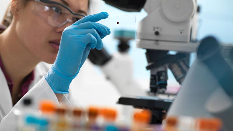 Università di Pisa, maxi bando per 149 posti da ricercatori