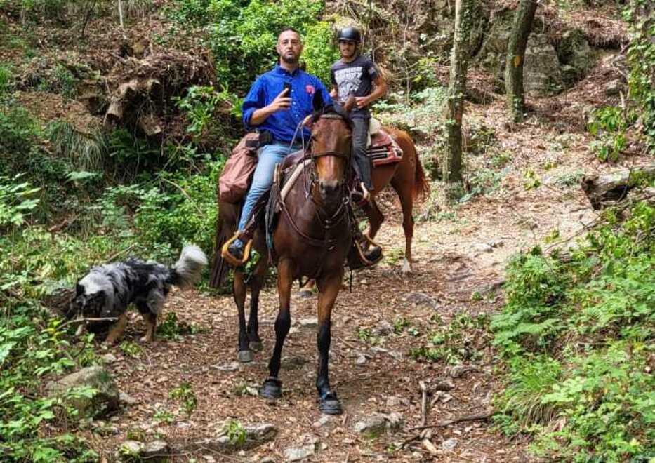 Camaiore, cavallo finisce nel burrone e muore: il padrone si salva per un soffio