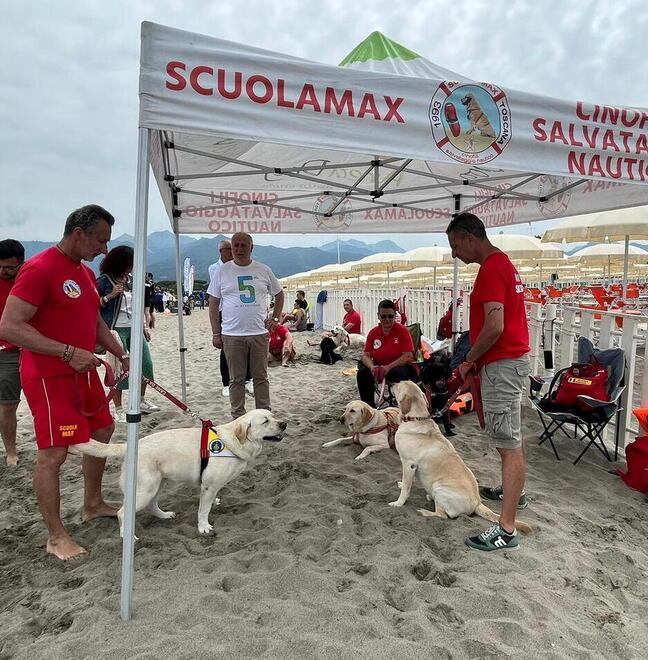 Montignoso, che bella la festa dello sport dalla spiaggia al centro