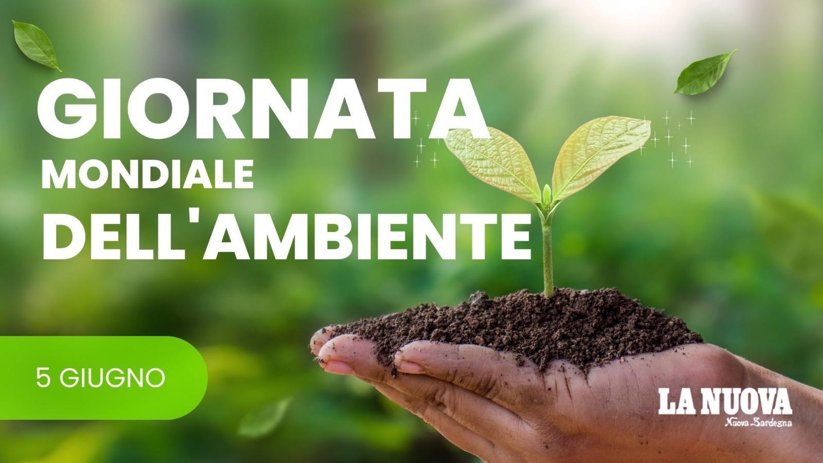«Salviamo l’ambiente con i piccoli gesti»