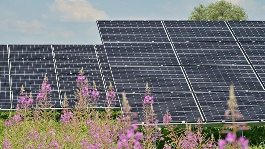 Fotovoltaico in Toscana, Giani: «No ai progetti che sfregiano il nostro paesaggio»