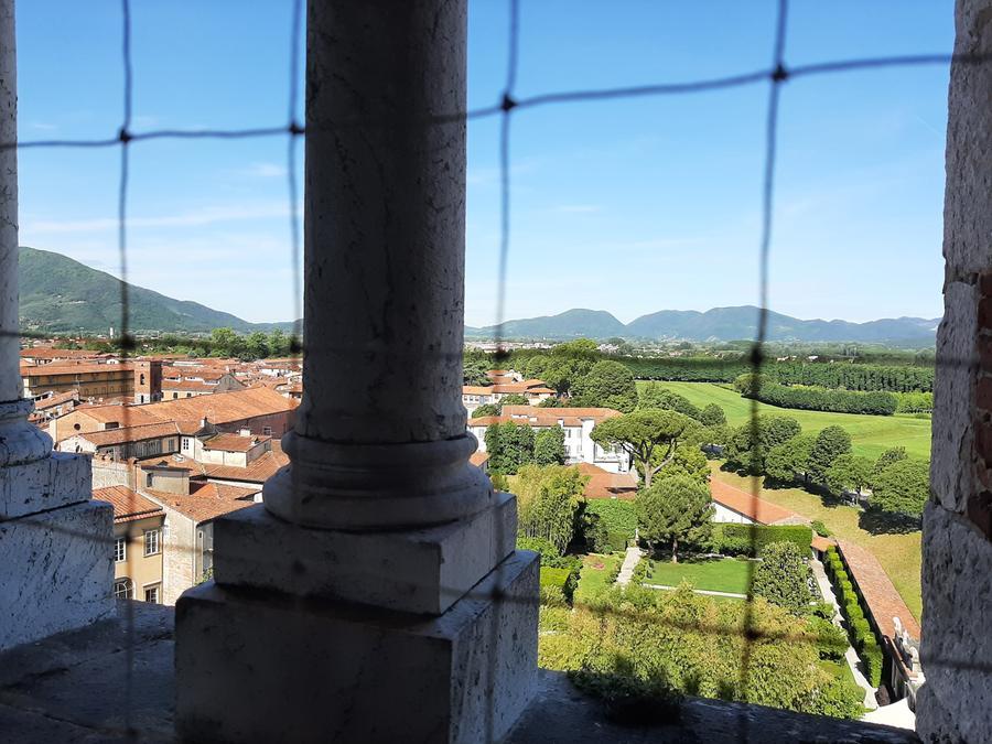 Lavori finiti, si può salire sul campanile di San Frediano a Lucca – Video