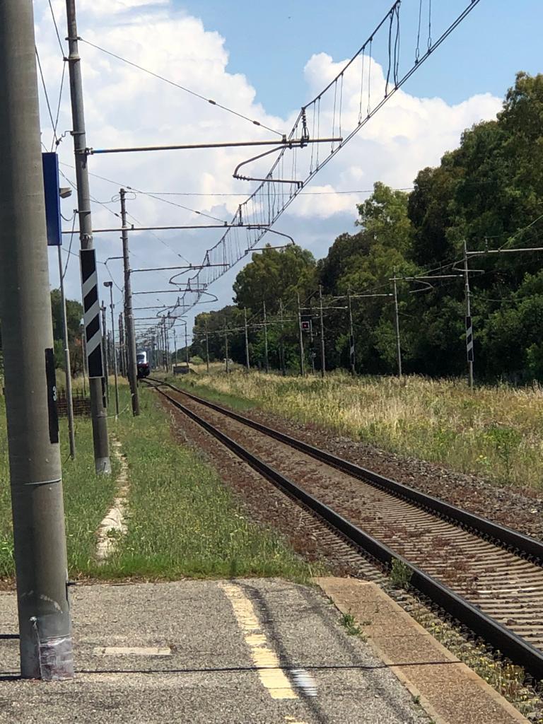 
	Il treno fermo a dicersi metri dalla stazione di Capalbio

