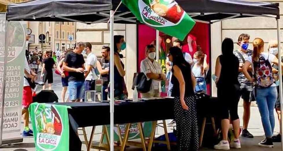 «Troppi animali uccisi» A Reggio Emilia la petizione per abolire la caccia