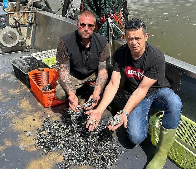 Porto Garibaldi, l’acqua dolce fa morire le vongole: «Disastro, servono indennizzi»
