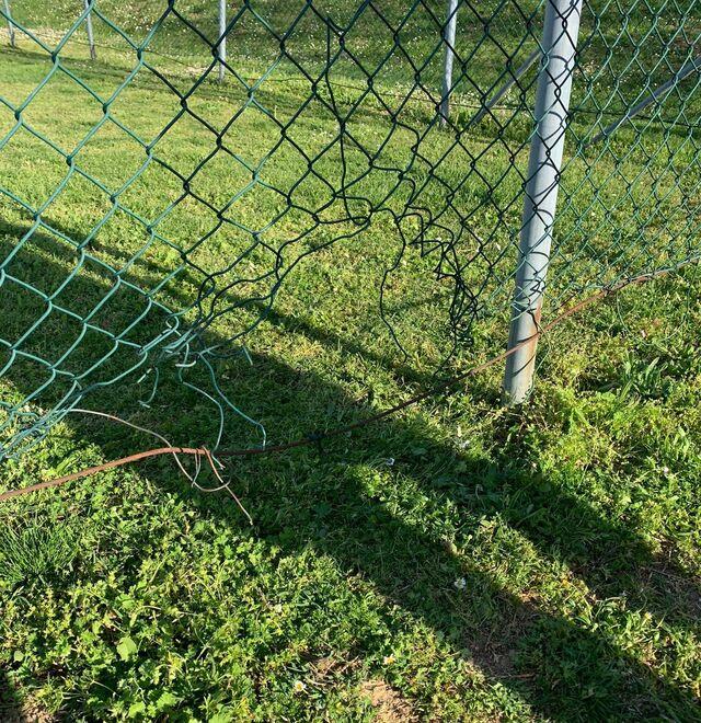 Castelvetro, danni e furti: presi 9 giovani 