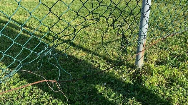 Castelvetro, danni e furti: presi 9 giovani