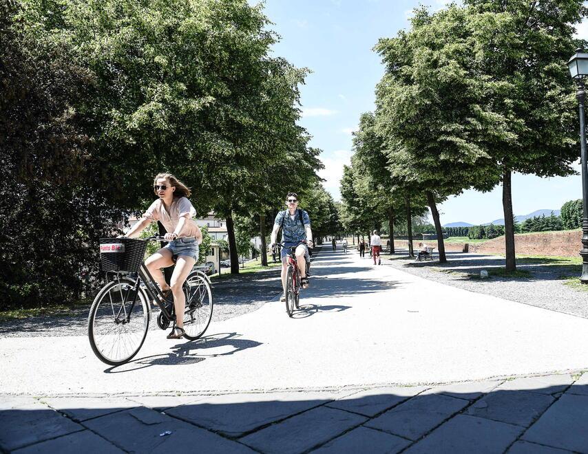 Lucca, il direttore della Fondazione Ragghianti: «Non solo Puccini, ma un progetto per il futuro»