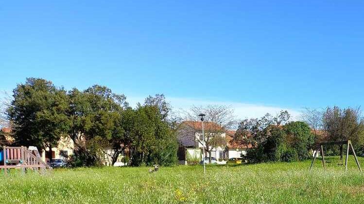 «Pessima mamma»: offese sui social contro la sindaca di Campiglia
