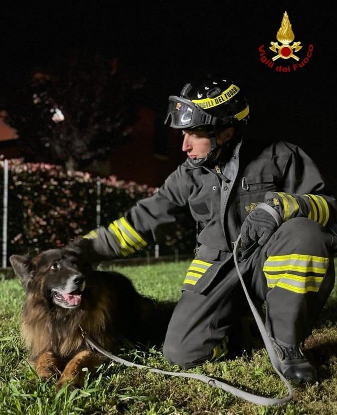 A Guastalla un cane finisce in un tombino, salvato dai vigili del fuoco