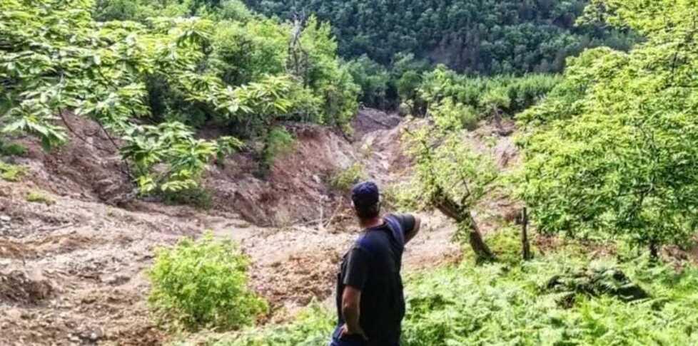 Distrutta l’azienda agricola di Marradi: persa tutta la produzione di kiwi e susine