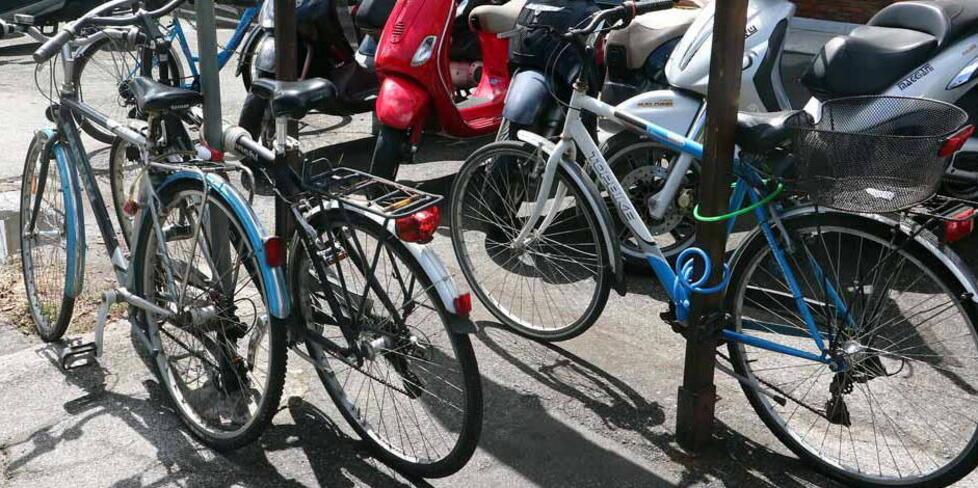 Bomporto, le razzie di biciclette non si fermano&nbsp;