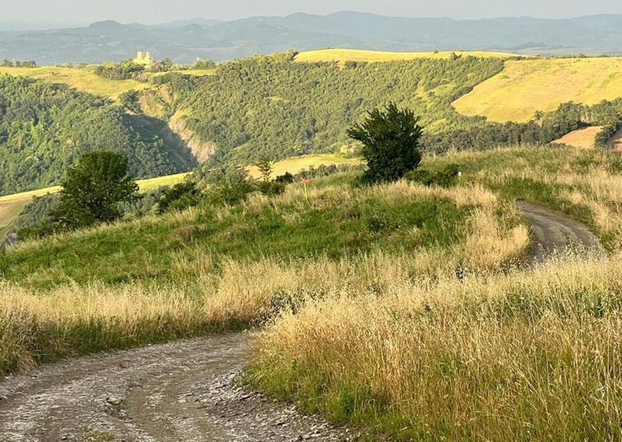 Due fratelli si perdono in collina, a ritrovarli è un guardiacaccia