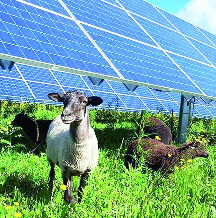 Il fotovoltaico “oscurato” dalla burocrazia: per un impianto medio-grande ci vogliono anche cinque anni
