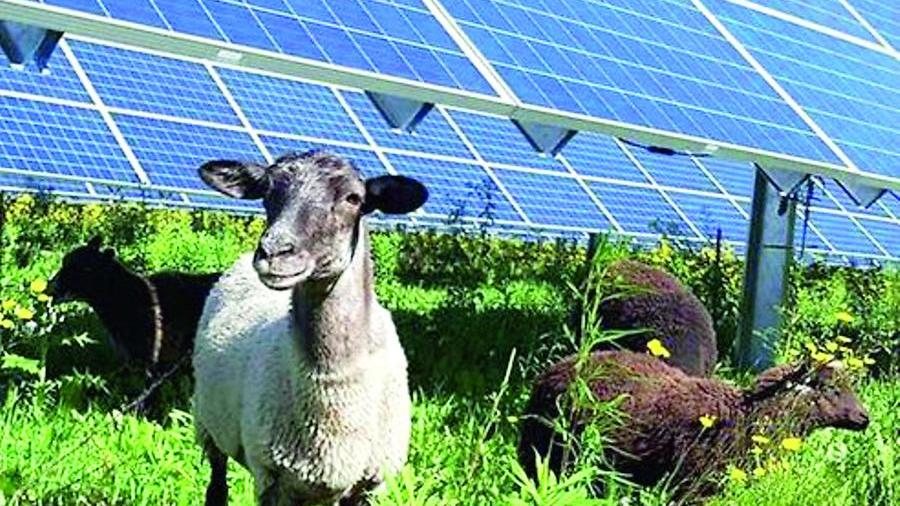 Il fotovoltaico “oscurato” dalla burocrazia: per un impianto medio-grande ci vogliono anche cinque anni