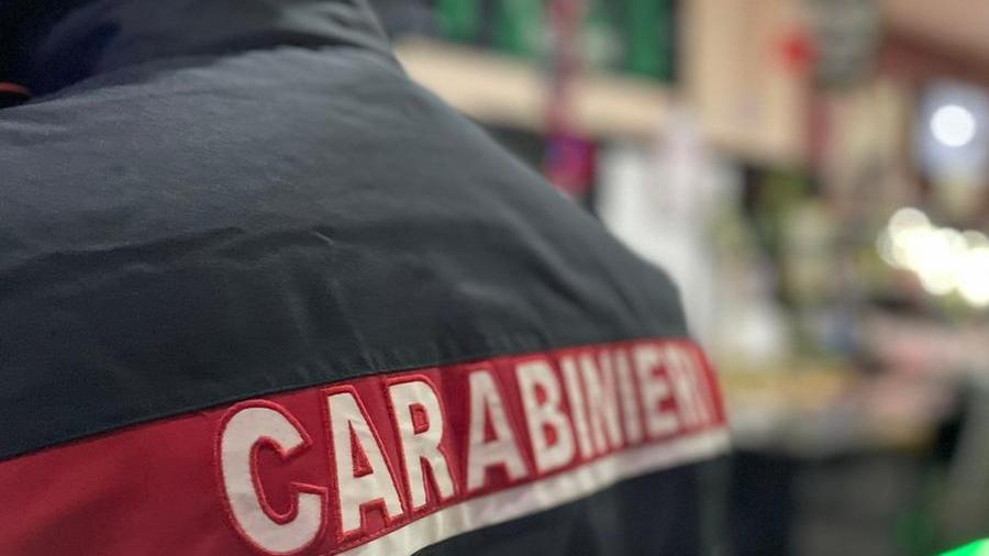 Modena. Ben 24 furti in 4 mesi: arrestato tunisino di Pordenone